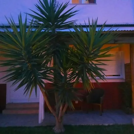 Casablanca El Petit Apartamento Deltebre