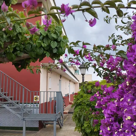 Διαμέρισμα Casablanca El Petit