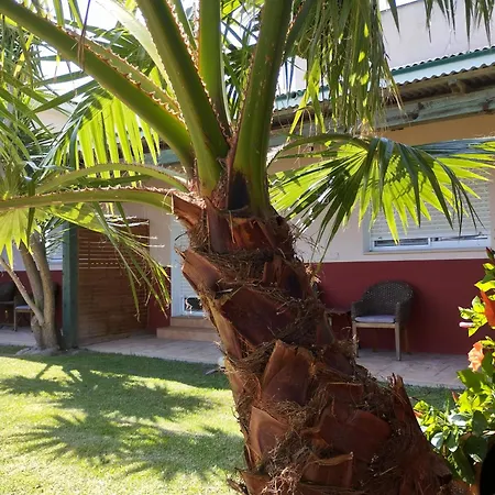 Apartamento Casablanca El Petit *